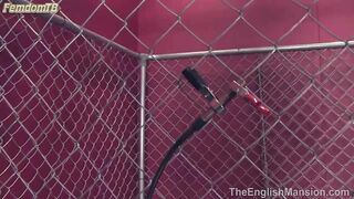 TheEnglishMansion - Electrified Steel Cage