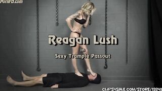 Reagan lush