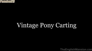 TheEnglishMansion - Vintage Pony Carting