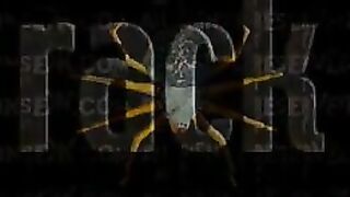 INSEX - Rack (Live Feed From Jan 4, 2004) (Piglet, 912)