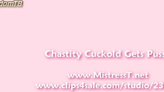 Mistress T - chastity_cuckold_gets_pussy