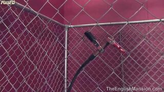 TheEnglishMansion - Cells - Electrified Steel Cage