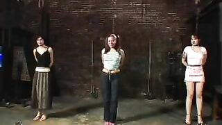 INSEX - 33 Live (Live Feed From May 5, 2004) (33, 423, Sage)