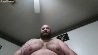 Big hairy Bear 2