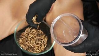 Hungry centipedes biting on pumped up tits!