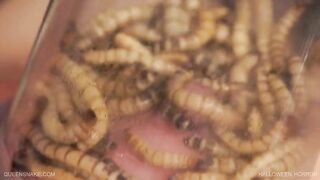 Hungry centipedes biting on pumped up tits!