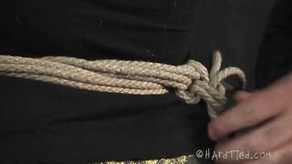 HARDTIED - ﻿﻿Claire Dames Hogtied