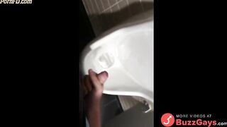 German Public Restroom Wank And Cum 2