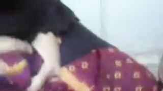 Pakistani Girl Boobs and Pussy Exploring