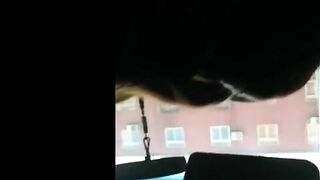 Korean girl playing with small cock in car