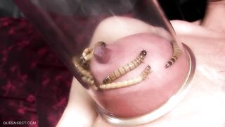 QUEENSNAKE - Superworms in pussy will make you scream, not cum!